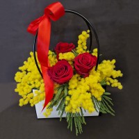 Flower-box-rose-rosse--mimosa-23-1