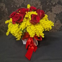 Flower-box-rose-rosse-mimosa-23-18